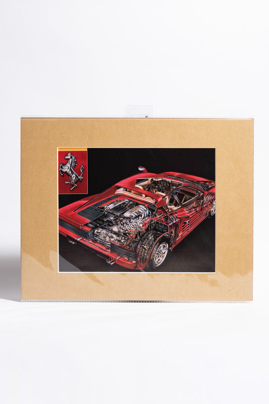 Ferrari Testarossa Cut-Away image