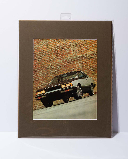 1980 Datsun 200SX Image Motor Trend