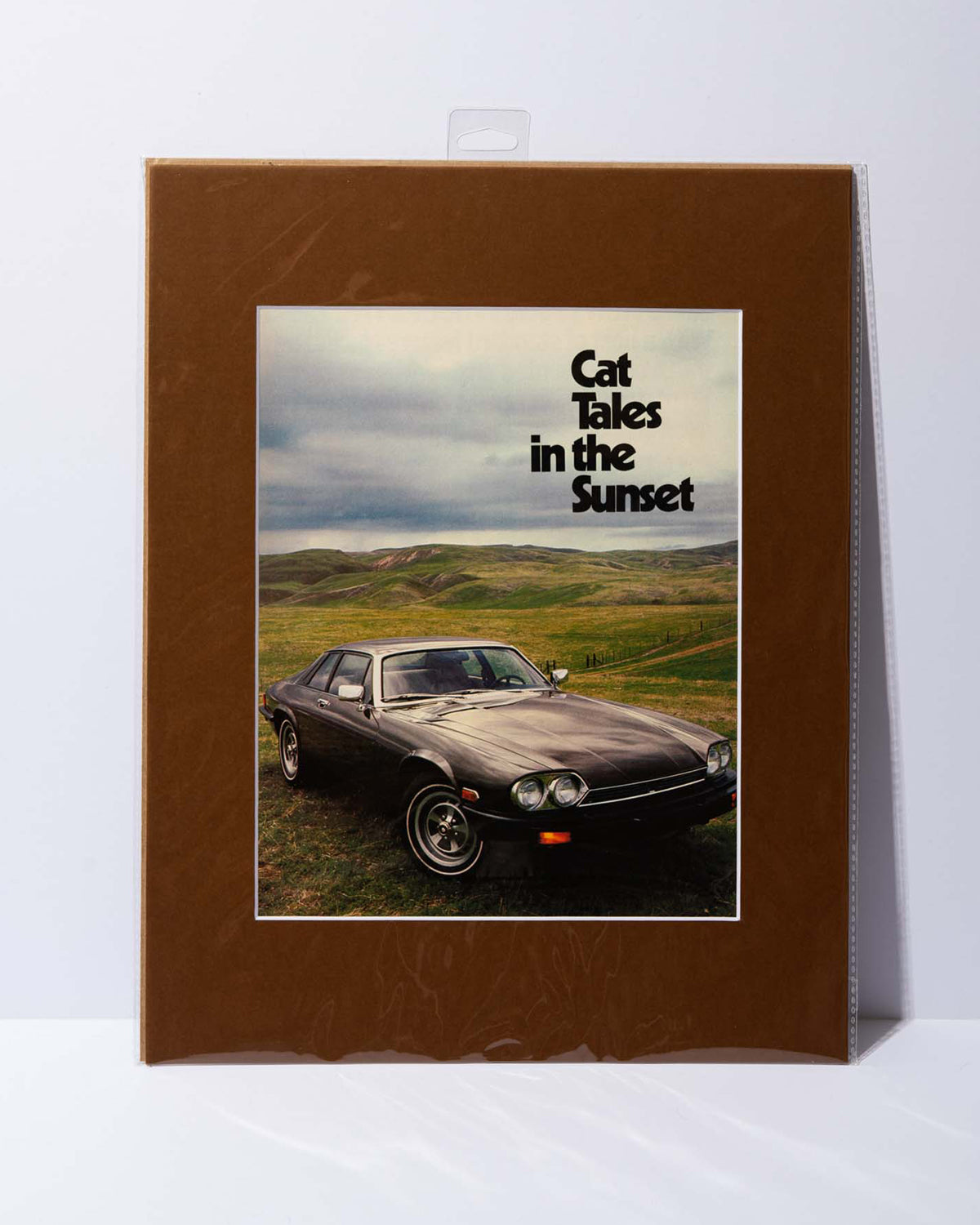 1979 Jaguar XJS "Cat Tales in the Sunset" Motor Trend
