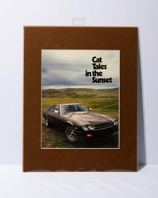 1979 Jaguar XJS "Cat Tales in the Sunset" Motor Trend